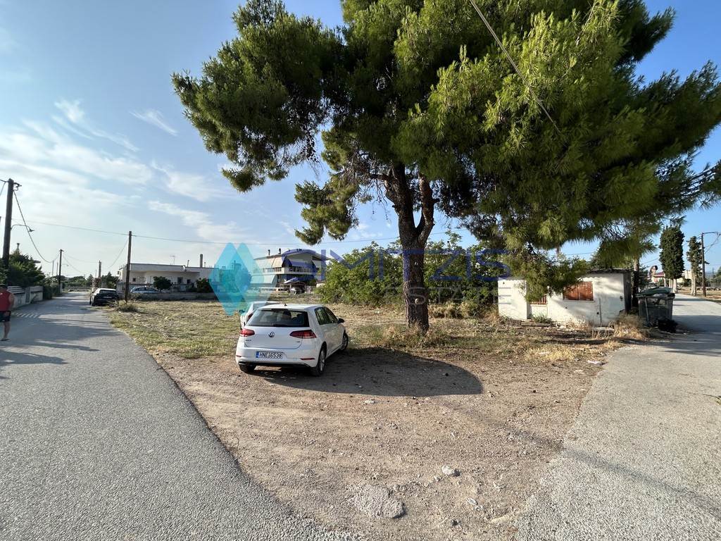 Οικόπεδο 1.000 τ.μ. για πώληση, Εύβοια, Ληλάντιο