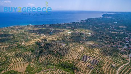 Οικόπεδο 13.795τ.μ. για πώληση-Αίπεια