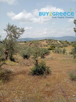 Οικόπεδο 39.000τ.μ. για πώληση-Κρανίδι