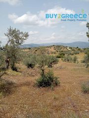 Οικόπεδο 39.000 τ.μ. για πώληση