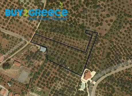 Οικόπεδο 5.100τ.μ. για πώληση-Κυπαρισσία