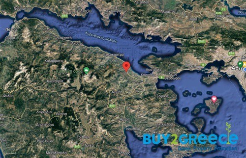 Αγροτεμάχια 4.368 τ.μ. προς πώληση, Ταρσινά