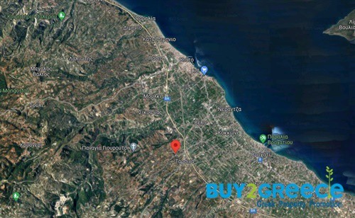 Αγροτεμάχια 4.368 τ.μ. προς πώληση, Ταρσινά