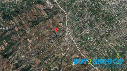 Αγροτεμάχια 4.368 τ.μ. προς πώληση, Ταρσινά