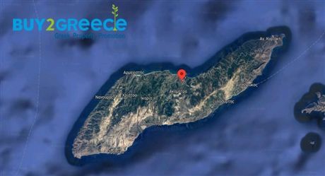 Αγροτεμάχια 1.431,95 τ.μ. για πώληση