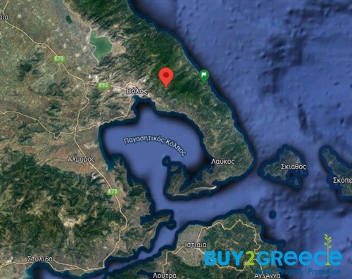 Οικόπεδο 2.642 τ.μ. πρός πώληση, Μαγνησία, Βόλος
