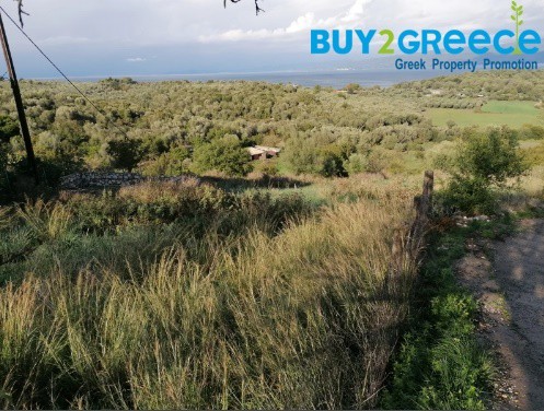Οικόπεδο 2.055 τ.μ. πρός πώληση, Αιτωλοακαρνανία, Αμφιλοχία