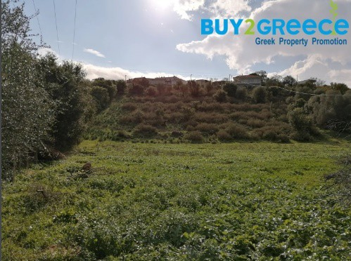 Οικόπεδο 2.055 τ.μ. πρός πώληση, Αιτωλοακαρνανία, Αμφιλοχία