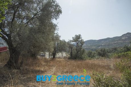 Οικόπεδο 600τ.μ. για πώληση-Γορτύνα