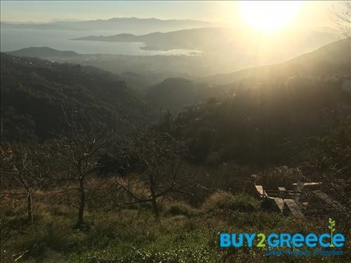 Αγροτεμάχια 2.059 τ.μ. πρός πώληση, Μαγνησία, Μακρινίτσα