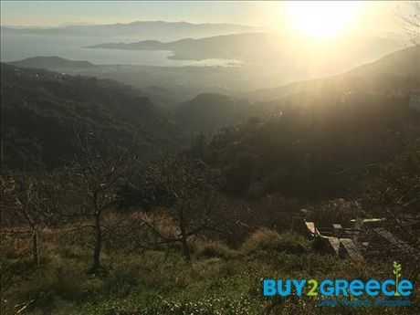Αγροτεμάχια 2.059τ.μ. για πώληση-Μακρινίτσα