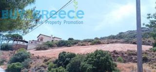 Αγροτεμάχια 1.786,80 τ.μ. για πώληση