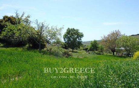 Οικόπεδο 5.000 τ.μ. για πώληση