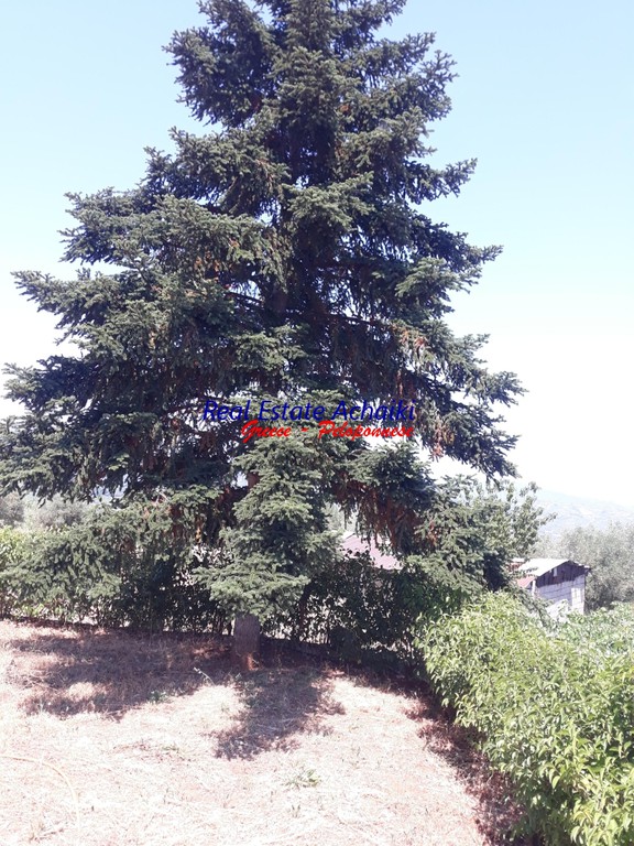 Μονοκατοικία 90 τ.μ. προς πώληση, Κουνινά