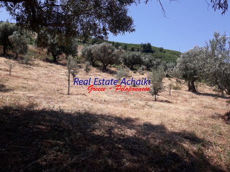 Αγροτεμάχια 4.700τ.μ. για πώληση-Αίγιο » Κουνινά