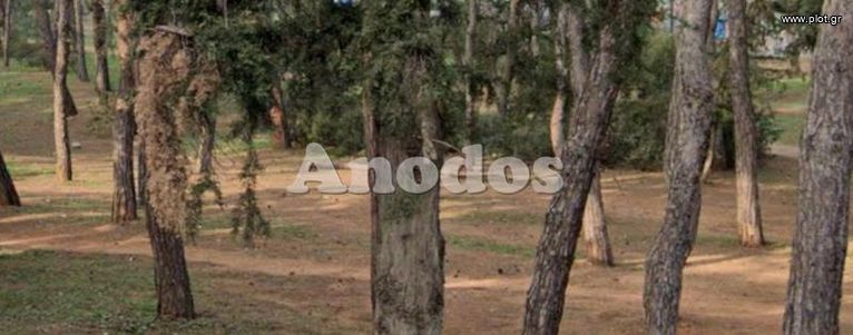 Οικόπεδο 250 τ.μ. για πώληση, Αθήνα - Βόρεια Προάστια, Νέο Ψυχικό