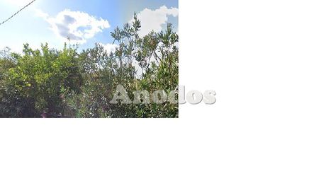 Οικόπεδο 512τ.μ. για πώληση-Πεύκη » Κάτω πεύκη