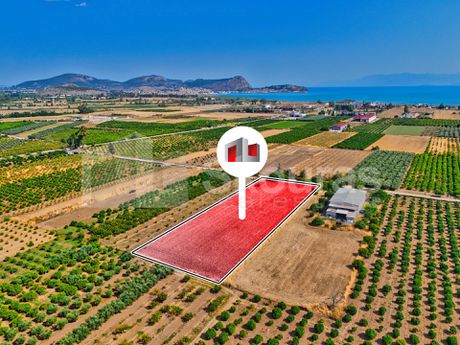 Αγροτεμάχια 7.310τ.μ. για πώληση-Νέα κίος