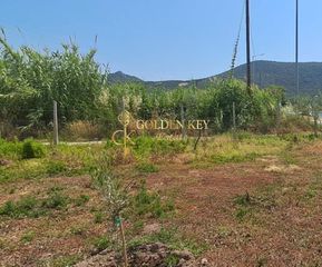 Αγροτεμάχια 500 τ.μ. για πώληση, Ν. Καβάλας, Ελευθερές-thumb-4