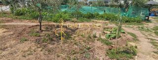 Αγροτεμάχια 500 τ.μ. για πώληση, Ν. Καβάλας, Ελευθερές-thumb-3