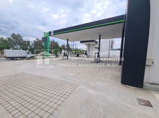 Κατάστημα 171 τ.μ. για ενοικίαση, Μαγνησία, Βόλος-thumb-13