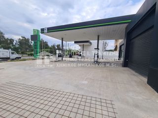 Κατάστημα 171 τ.μ. για ενοικίαση, Μαγνησία, Βόλος-thumb-15