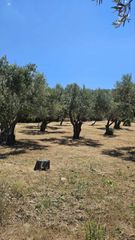 Οικόπεδο 1.940 τ.μ. για πώληση, Εβρος, Σαμοθράκη-thumb-2
