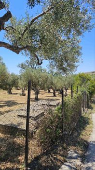 Land plot 1.940sqm for sale-Samothraki » Xiropotamos