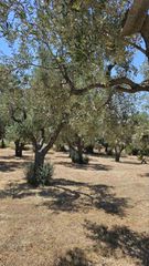 Οικόπεδο 1.940 τ.μ. για πώληση, Εβρος, Σαμοθράκη-thumb-3