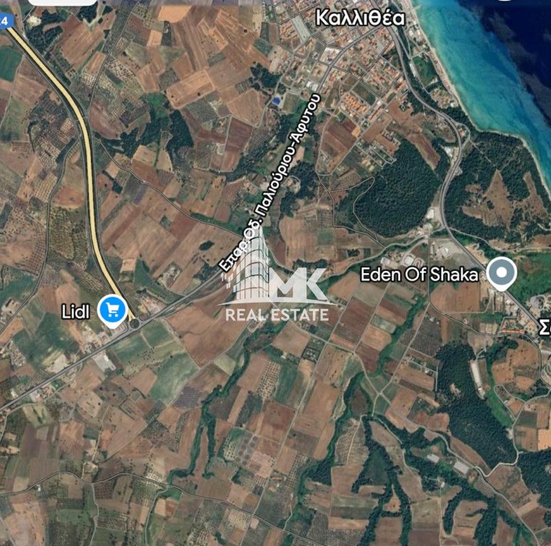 Αγροτεμάχια 19.381 τ.μ. προς πώληση, Κασσάνδρεια