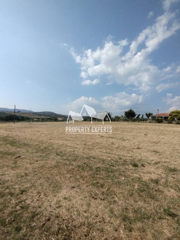 Αγροτεμάχια 2.400 τ.μ. προς πώληση, Νέα Χιλή