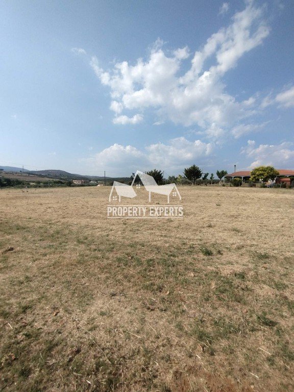 Αγροτεμάχια 2.400 τ.μ. προς πώληση, Νέα Χιλή
