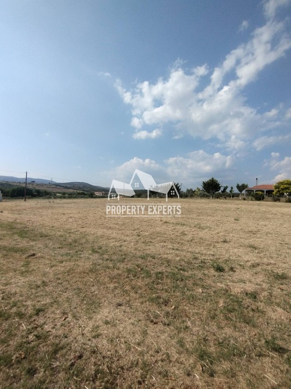 Αγροτεμάχια 2.400 τ.μ. προς πώληση, Νέα Χιλή