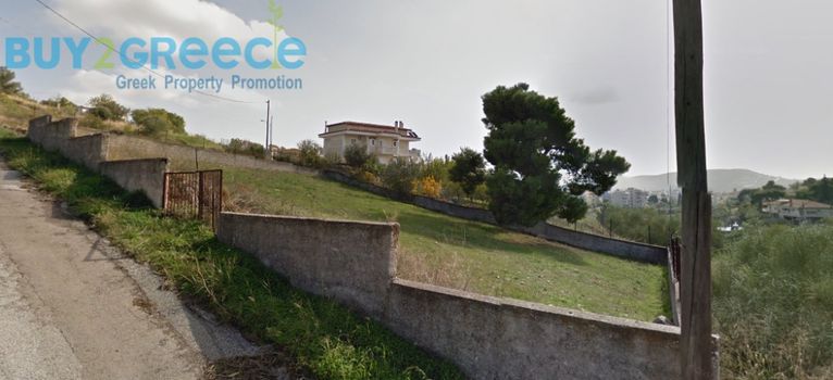 Αγροτεμάχια 737 τ.μ. για πώληση, Αθήνα - Ανατολικά Προάστια, Παλλήνη