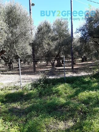 Land plot 7.214 sqm for sale, Ilia, Zacharo