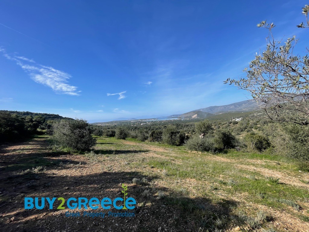 Αγροτεμάχια 9.082 τ.μ. για πώληση, Αργολίδα, Κρανίδι