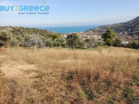 Αγροτεμάχια 2.270τ.μ. για πώληση-Κύμη