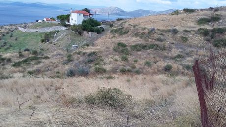 Αγροτεμάχια 5.000τ.μ. για πώληση-Στύρα