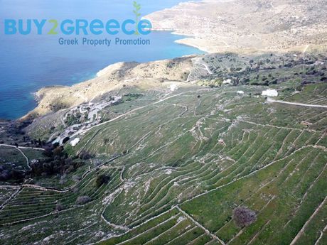 Οικόπεδο 7.700τ.μ. για πώληση-Άνδρος