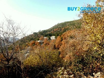 Οικόπεδο 520τ.μ. για πώληση-Θάσος