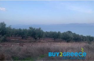 Αγροτεμάχια 7.800 τ.μ. για πώληση