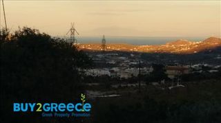 Αγροτεμάχια 5.000 τ.μ. για πώληση