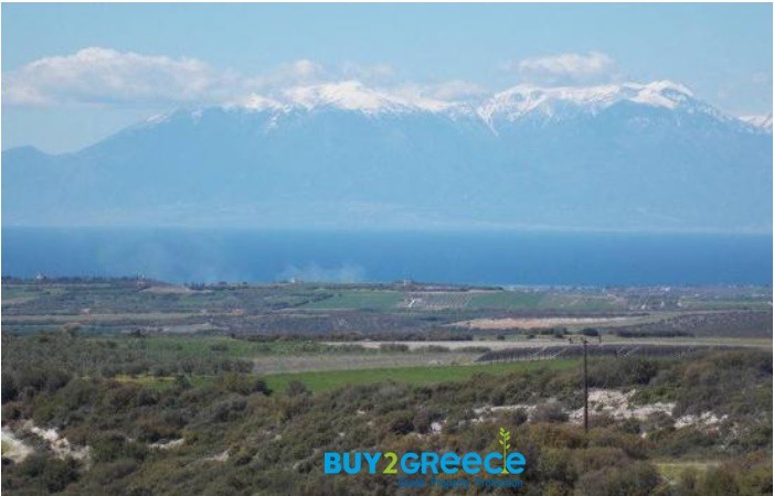 Αγροτεμάχια 5.780 τ.μ. προς πώληση, Λάκκωμα Καλλικράτειας