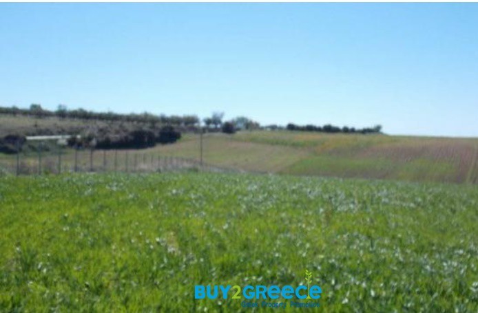 Αγροτεμάχια 5.780 τ.μ. προς πώληση, Λάκκωμα Καλλικράτειας