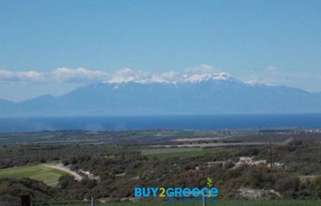 Αγροτεμάχια 5.780τ.μ. για πώληση-Καλλικράτεια
