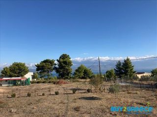 Αγροτεμάχια 1.125 τ.μ. για πώληση