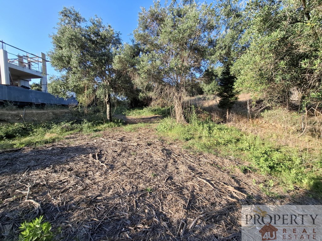 Οικόπεδο 2.015 τ.μ. πρός πώληση, Ν. Κέρκυρας, Κέρκυρα