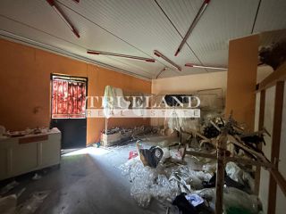 Κατάστημα 126,20 τ.μ. για πώληση, Λακωνία, Σπάρτη-thumb-16