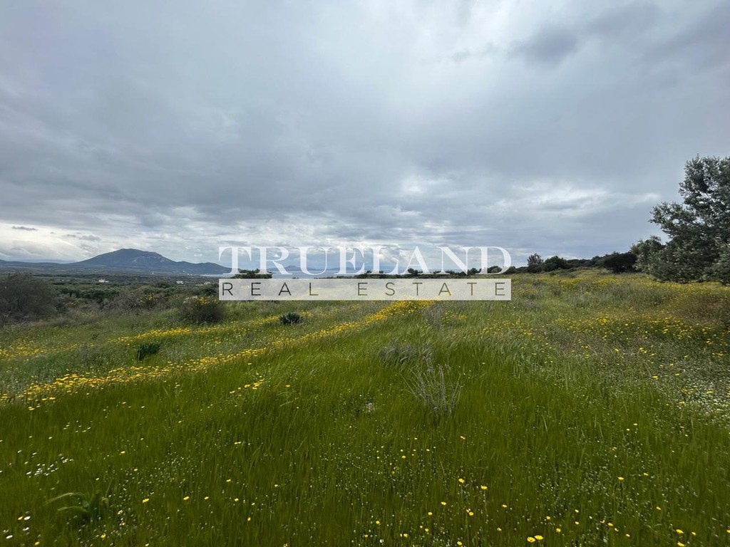 Αγροτεμάχια 28.834,12 τ.μ. προς πώληση, Άγιος Γεώργιος Βοιών
