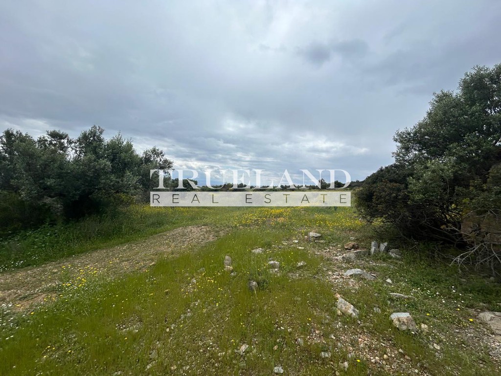 Αγροτεμάχια 28.834,12 τ.μ. προς πώληση, Άγιος Γεώργιος Βοιών
